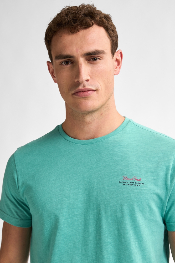 T SHIRT MET PRINT OP DE RUG M 1050 TSR647 6169 AQUA GREEN